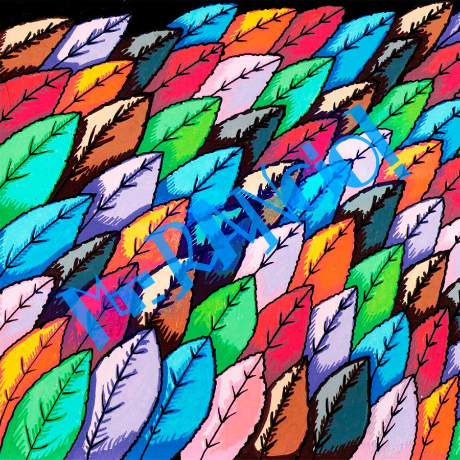 Detalle Lámina Original Ilustración Plujas